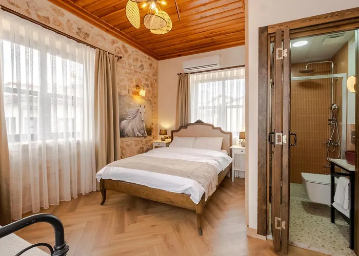 מלון Saye ' Kaleici&oldtown' 3*
